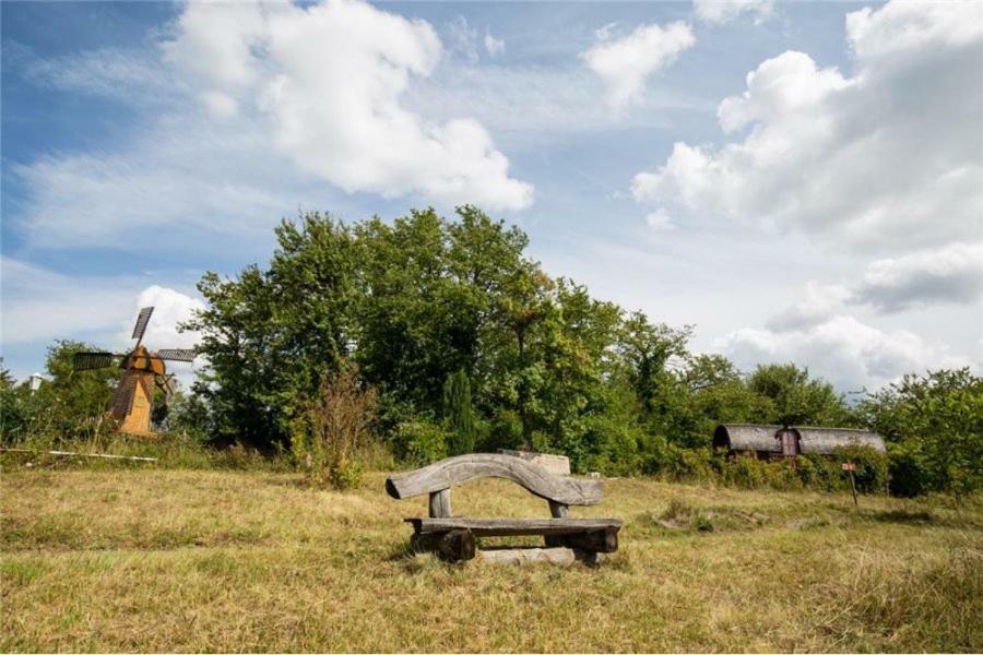 Le Chalet Du Chemin Et Sa Roulotte Berviller-en-Moselle Екстериор снимка