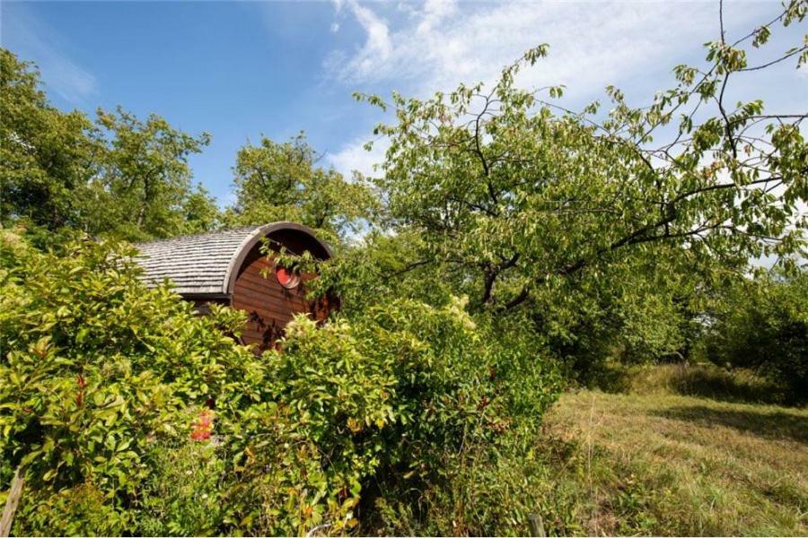 Le Chalet Du Chemin Et Sa Roulotte Berviller-en-Moselle Екстериор снимка
