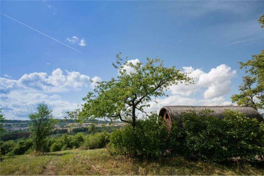 Le Chalet Du Chemin Et Sa Roulotte Berviller-en-Moselle Екстериор снимка
