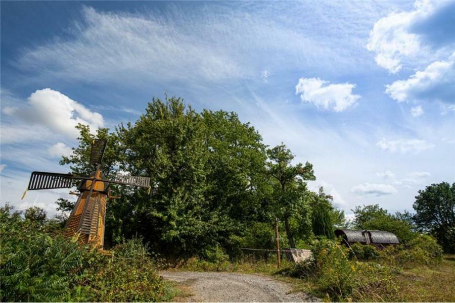 Le Chalet Du Chemin Et Sa Roulotte Berviller-en-Moselle Екстериор снимка